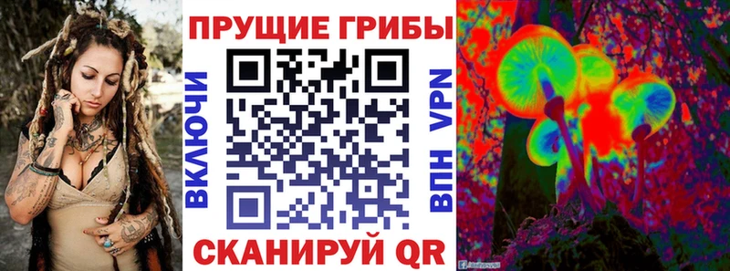 Псилоцибиновые грибы Psilocybine cubensis Вытегра